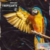 Download track Tropicante