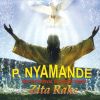 Download track Ndiyani Panezamba