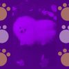 Download track Awesome Ambiance For Calming Puppies