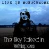 Download track The Sky Talked In Whispers