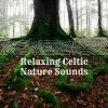 Download track Celtic Meditation I