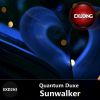 Download track Sunwalker (DJ Solovey Remix)