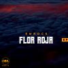 Download track Flor Roja (Original Mix)