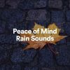 Download track Voluntary Rain