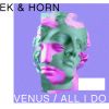 Download track Venus