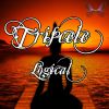 Download track Logical (Original Mix)