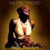 Download track Hello Sunshine (Instrumental)