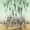 Download track Magic Forests