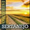 Download track Berrante De Ouro