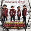 Download track El Muchacho Alegre