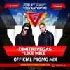 Download track Fruit Vibrations Promo Mix