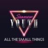 Download track All The Small Things (Blink 182 Syntwave Cover)