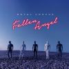 Download track Fallen Angel