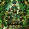 Download track Biotic Ceremonial