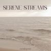 Download track Serene Shores