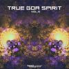 Download track True Goa Spirit, Vol. 6 (Dj Mix)