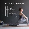 Download track Yoga Music For Chakra Healing