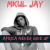 Download track Africans Never Give Up