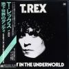 Download track Dandy In The Underworld (Single Version)