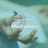 Download track Meditation Zen Ambient, Pt. 3