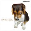 Download track Shice Guy