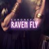 Download track Raven Fly (Radio Version)