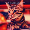 Download track Mind-Blowing Ambience For Training Your Cat