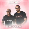 Download track Ungowami