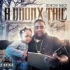 Download track RIP Diddy (Rick)