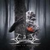 Download track Boundless Silence