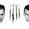 Download track Animal