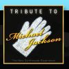 Download track Tribute To Michael Jackson Cd2