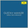 Download track Symphony No. 9 In D Major: Ploetzlich Bedeutend Langsamer (Lento) Und Leise (Live)