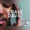 Download track What's Your Flava? Smoothed Out Garage Remix