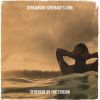 Download track Meadow's Soft Embrace By Starlight