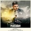 Download track Pehchan