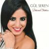 Download track Git Yoluna Gle Gle