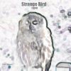 Download track Strange Bird (2014)