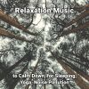 Download track Relaxation Music, Pt. 2