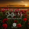 Download track Shelter Me (Moonnight Remix)