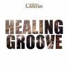 Download track Healing Groove