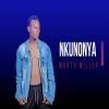 Download track Nsonga