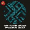 Download track Youre In My System Original Mix