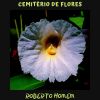 Download track Cemitério De Flores