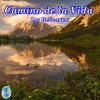 Download track Camino De La Vida