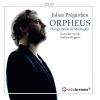 Download track Orfeo: Fantasie. Les Pleurs D'Orphée (Arr. For 3 Recorders & Organ)