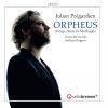 Download track Newe Teutsche Weltliche Madrigalia Und Balletten: Orpheus Die Harfen Schlug So Fein (Arr. For Chamber Ensemble)