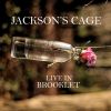 Download track Little Jack