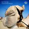 Download track Traveling Matt (Sandy The Camels Moroccan Desert Trek)