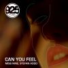 Download track Can You Feel (Radio Mix)